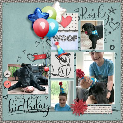 Rocky's Birthday