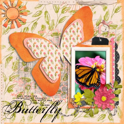 butterfly