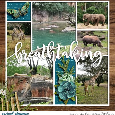 Wildlife Safari 2
