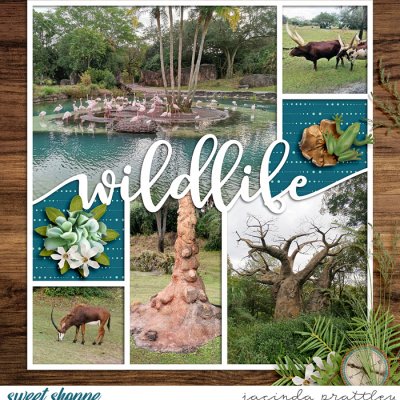 Wildlife Safari 3