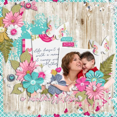 a mother's love