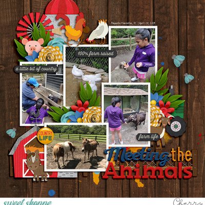 Meeting The Animals