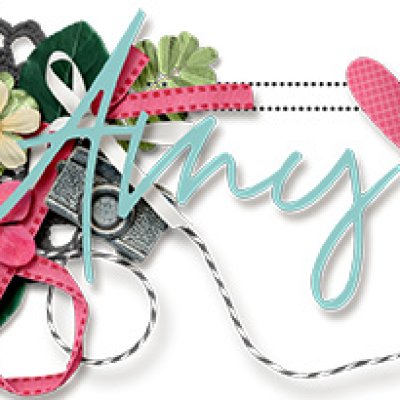 New Siggy