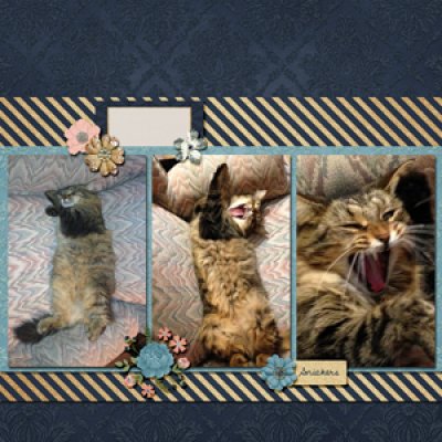 Don't Wake Me Up