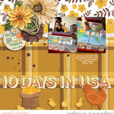 10 days in usa game