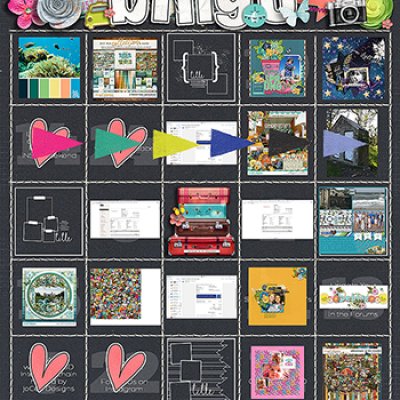 INSD Bingo Card