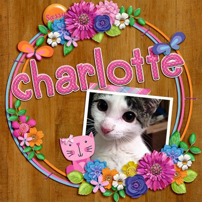 charlotte