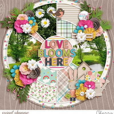 Love Blooms Here