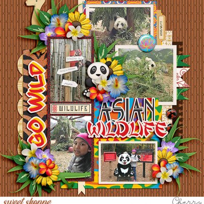 Asian Wildlife