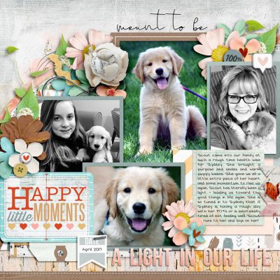 A Light in Our Life