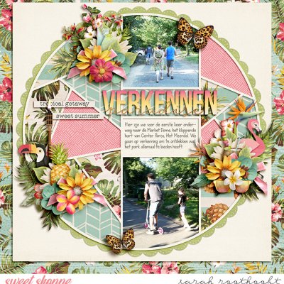 Verkennen