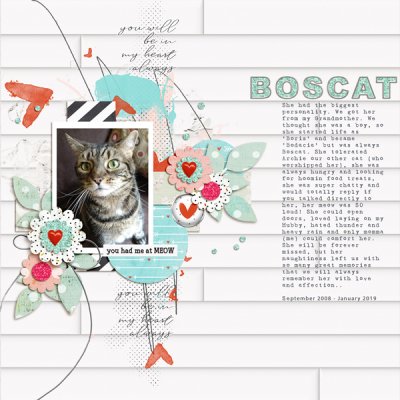 OLW: Boscat