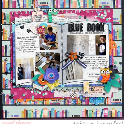 Blue Book exam