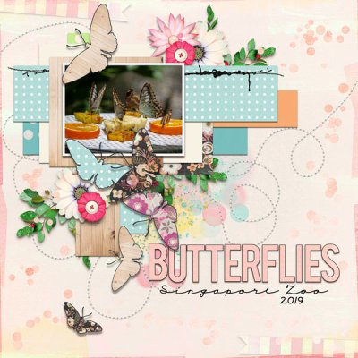 Butterflies