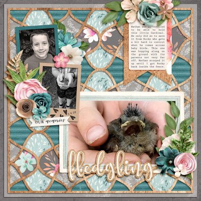 Fledgling