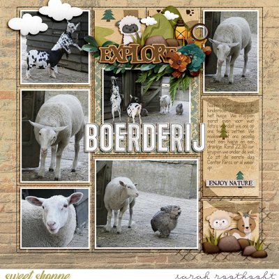Boerderij