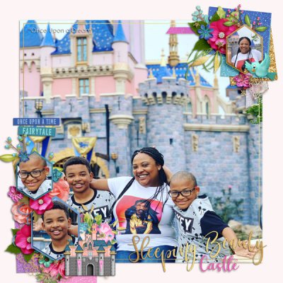 Sleeping Beauty Castle