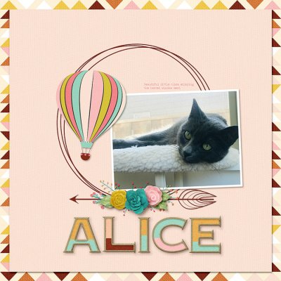 ~Alice~