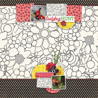 Ladybugs