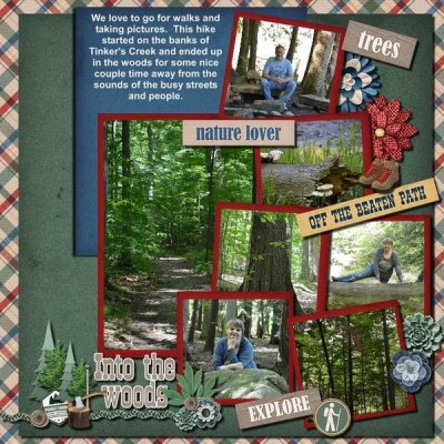 Into the woods