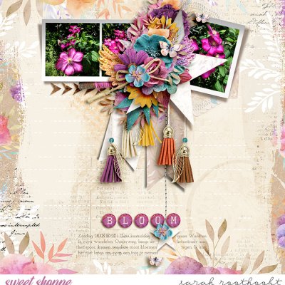 Bloom