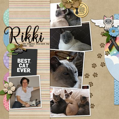 Rikki over the rainbow bridge