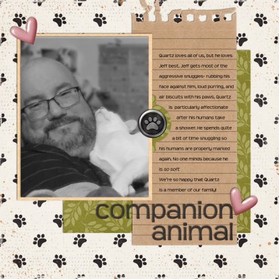 Companion Animal