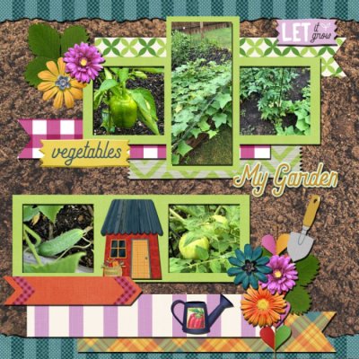 My Veggie Garden