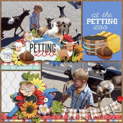 Petting zoo