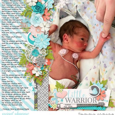 Little Warrior