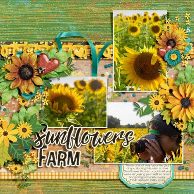 Sunflower Farm