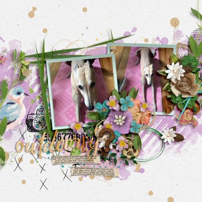 Outdoorsy? - Scraplift from Lisa Challenge