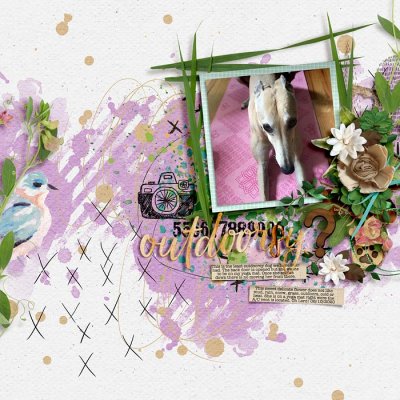 Outdoorsy? - Scraplift from Lisa Challenge
