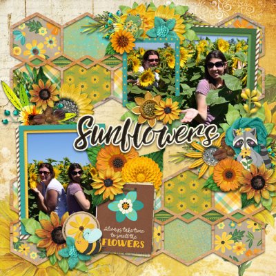 Sunflowers