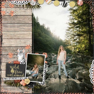 Wild & Free