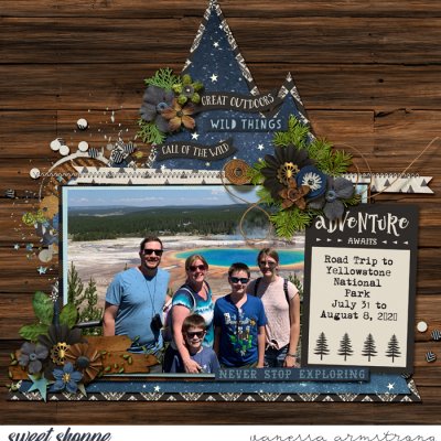 Yellowstone Album Cover