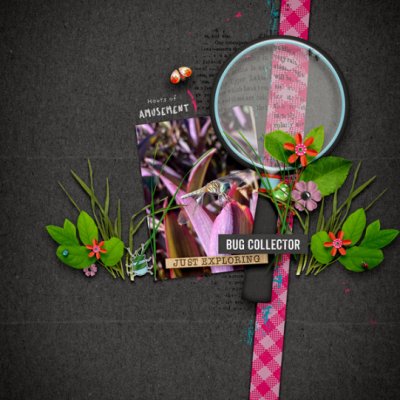 BugCollector