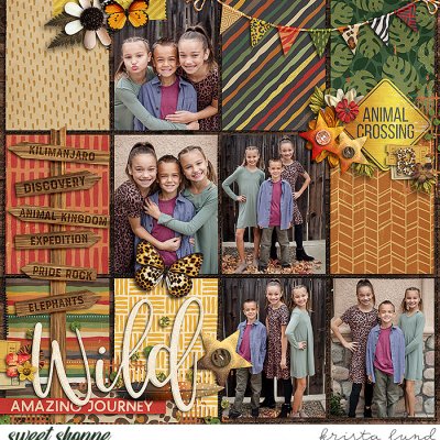 My Wild Crew Nov 2019