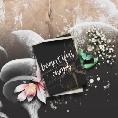 beAutifuLchAos1