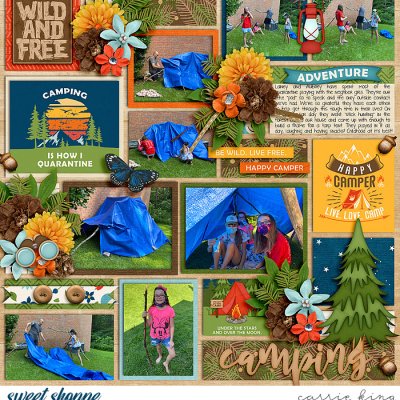 Tarp Tent