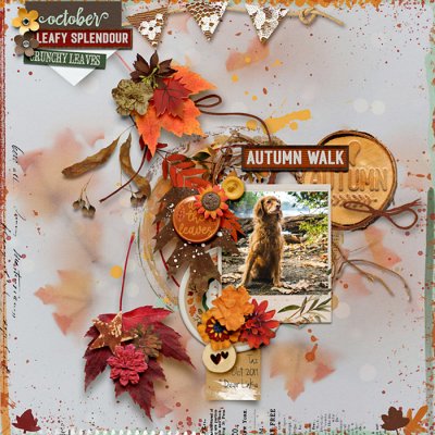 Autumn Walk