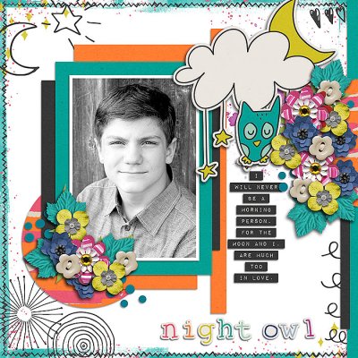 NIght Owl