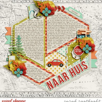 Naar huis