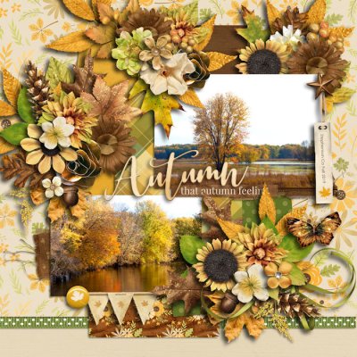 Fall Colors