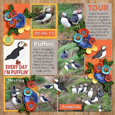 Every Day I'm Pufflin/