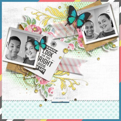 DSD Template