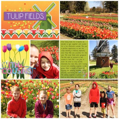 Tulips