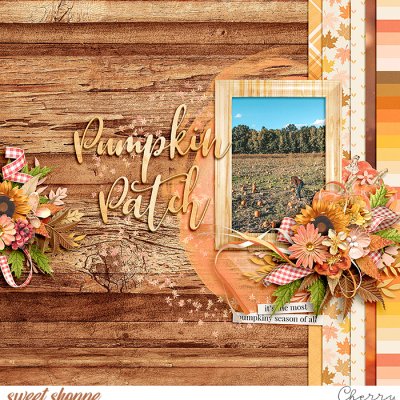 Pumpkin Patch