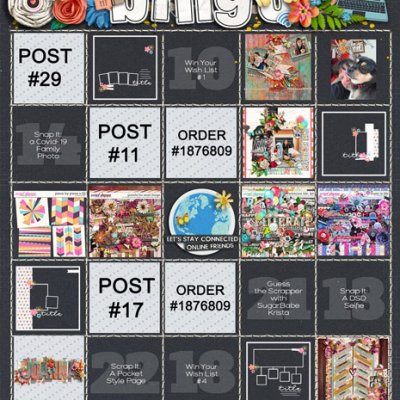 DSD Bingo Card