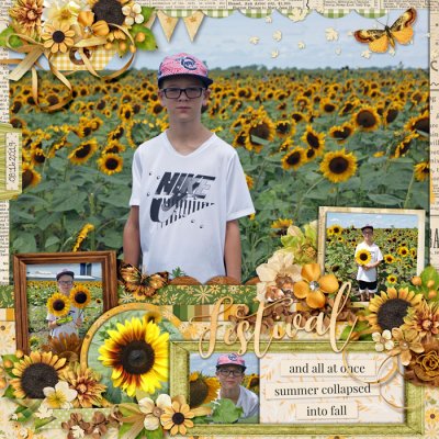 Sunflowers